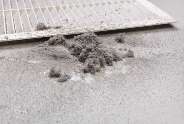 Best Air Duct Cleaning Near Me  in Whitley City, KY