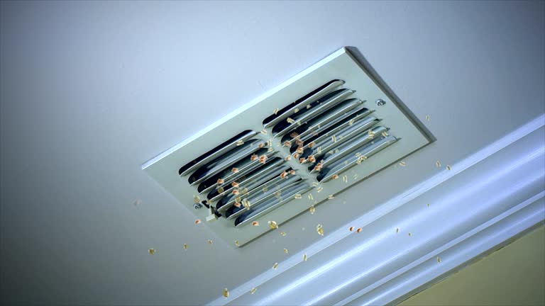 Best Dryer Vent Cleaning Services  in Whitley City, KY