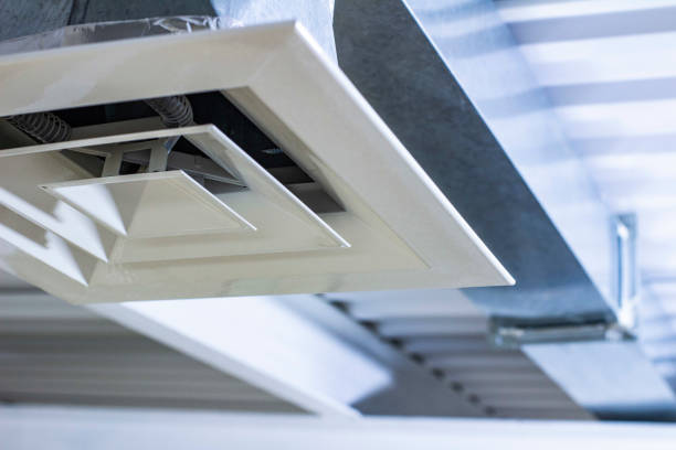 Best Professional Duct Cleaning Services  in Whitley City, KY