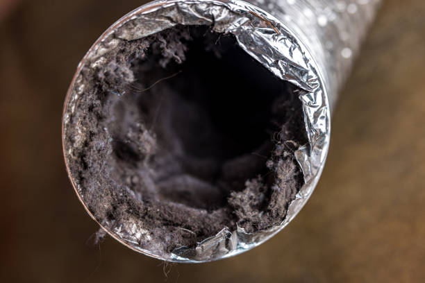 Best Ductwork Cleaning Services  in Whitley City, KY