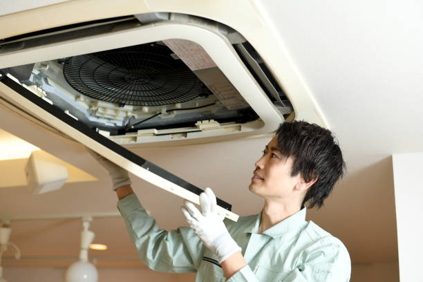 Best Home Air Vent Cleaning  in Whitley City, KY